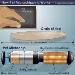 rfid chip in dogs|Pet Microchips – How They Work .